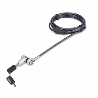 StarTech.com Lot de 25 Antivols Universels de 2m pour Ordinateur Portable, Serrure Universelle à Clé Maîtresse, Sécurité I