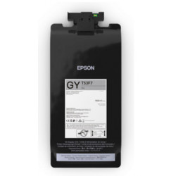 Epson UltraChrome Pro6 cartouche d'encre 1 pièce(s) Original Gris