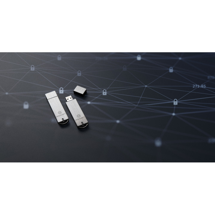 Kingston Technology IronKey 64Go Basic S1000 Encrypted USB 3.0 FIPS 140-2 Level 3