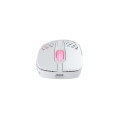 CHERRY XTRFY M4 RGB souris Gaming Droitier RF Wireless + USB Type-C Optique 19000 DPI