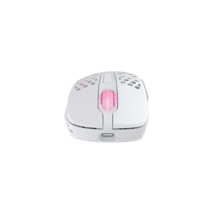 CHERRY XTRFY M4 RGB souris Gaming Droitier RF Wireless + USB Type-C Optique 19000 DPI