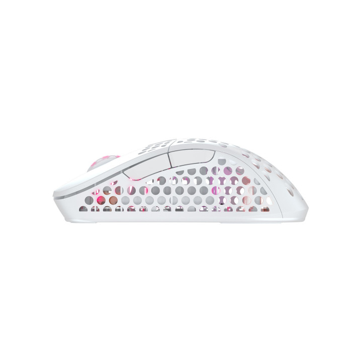 CHERRY XTRFY M4 RGB souris Gaming Droitier RF Wireless + USB Type-C Optique 19000 DPI