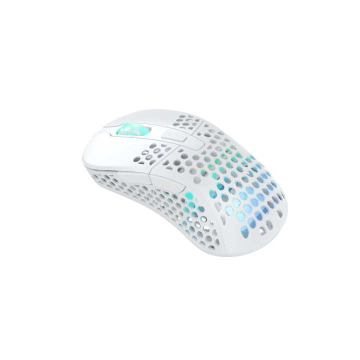 CHERRY XTRFY M4 RGB souris Gaming Droitier RF Wireless + USB Type-C Optique 19000 DPI
