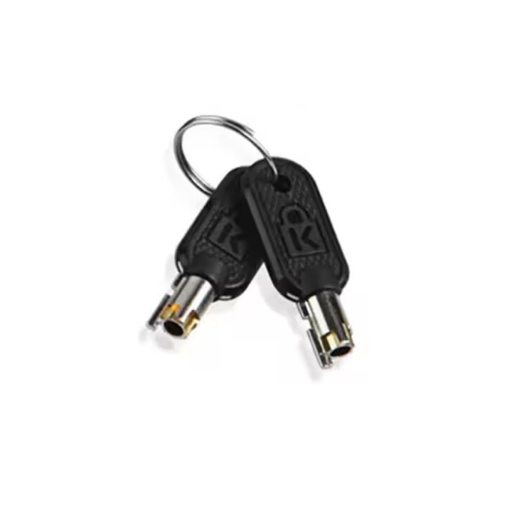 Lenovo 4Z10P40249 accessoire de câble de verrouillage Clé Gris