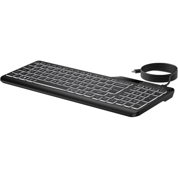 HP STORE 3PL clavier Bureau USB Noir