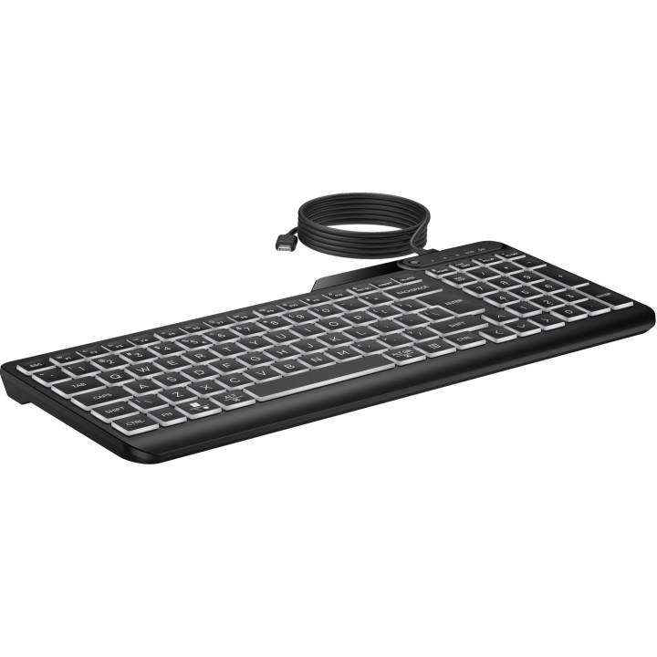 HP STORE 3PL clavier Bureau USB Noir