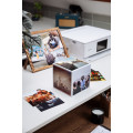 Canon 2311B075 papier photos Rose Gloss