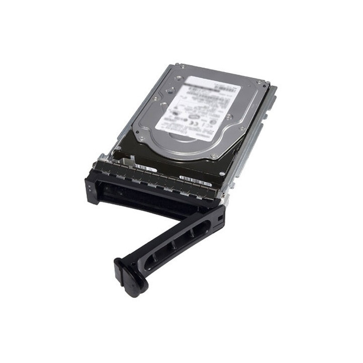 DELL 161-BBRC disque dur 2 To 7200 tr/min 3.5" Série ATA III