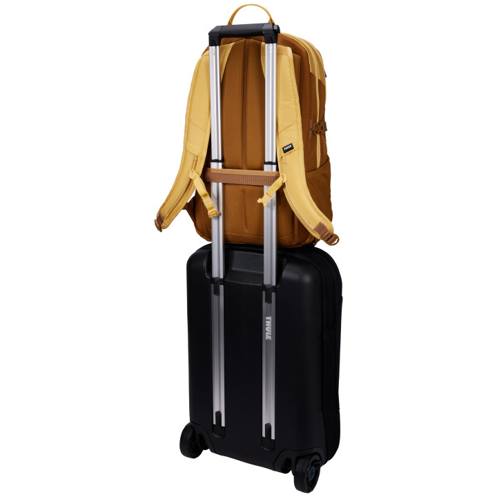 Thule EnRoute TEBP4216 - Ochre/Golden sac à dos Sac à dos normal Or, Ocre Nylon
