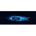 Kingston Technology 500G FURY RENEGADE M.2 2280 NVMe SSD