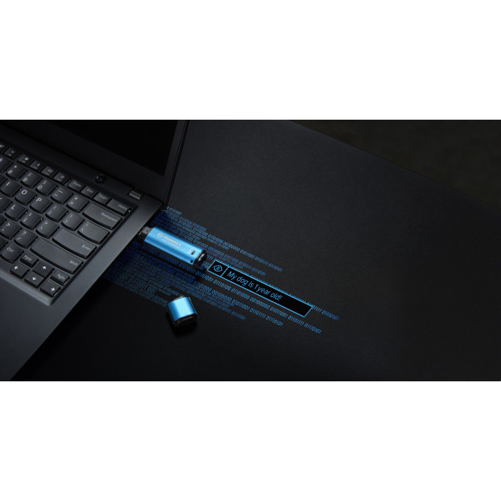 Kingston Technology IronKey 256Go Vault Privacy 50 chiffrée AES-256, FIPS 197