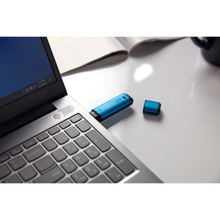 Kingston Technology IronKey 256Go Vault Privacy 50 chiffrée AES-256, FIPS 197
