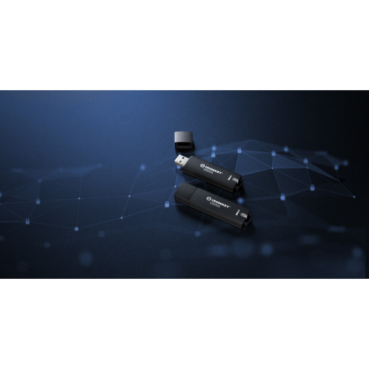 Kingston Technology IronKey 128 Go D500S FIPS 140-3 Lvl 3 AES-256