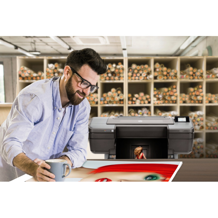 HP Designjet Imprimante Z9+ PostScript de 24 pouces