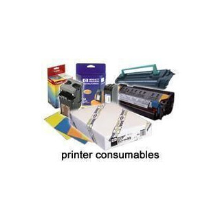 Epson Pap Photo Premium Glacé (250) 44" (1,118x30,5m)