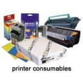 Epson Pap Photo Premium Glacé (250) 44" (1,118x30,5m)