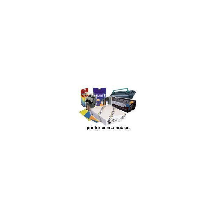 Epson Pap Photo Premium Glacé (250) 44" (1,118x30,5m)