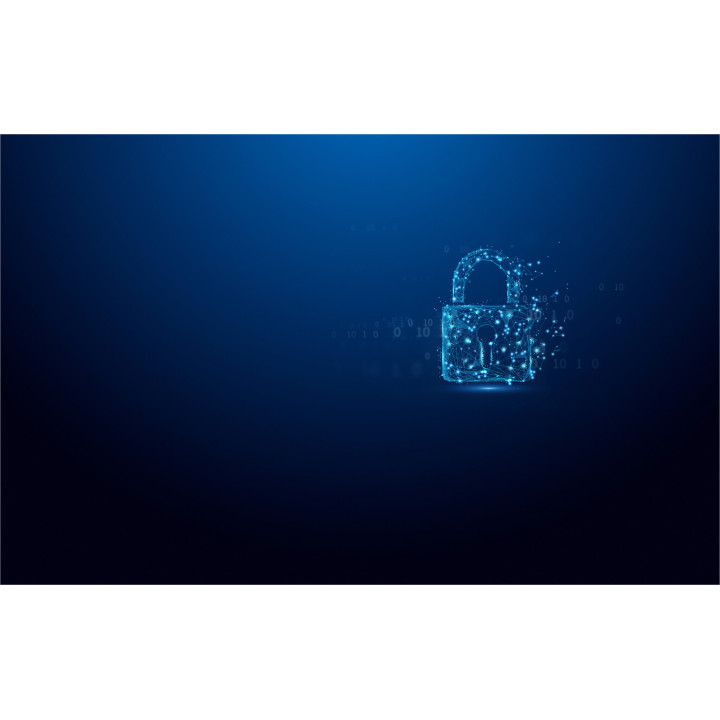 Kingston Technology IronKey 128Go Vault Privacy 50 chiffrée AES-256, FIPS 197