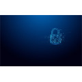 Kingston Technology IronKey 64Go USB-C Vault Privacy 50C chiffrée AES-256, FIPS 197